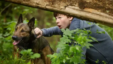 BTS 첫 아이맥스 영화…슈가 솔로 월드투어, 극장에서 만난다