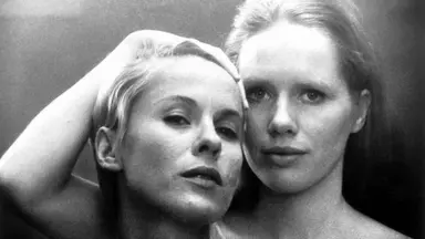 [공식입장] 아이유 첫 영화 '페르소나' 런칭 일정 연기 “동해안 산불로 ...